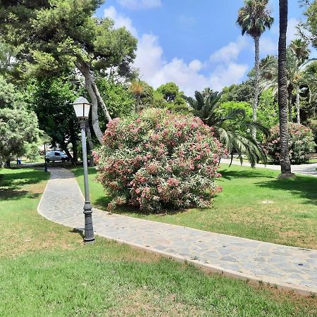 Sinforosa Park Apartments Torrevieja Dış mekan fotoğraf